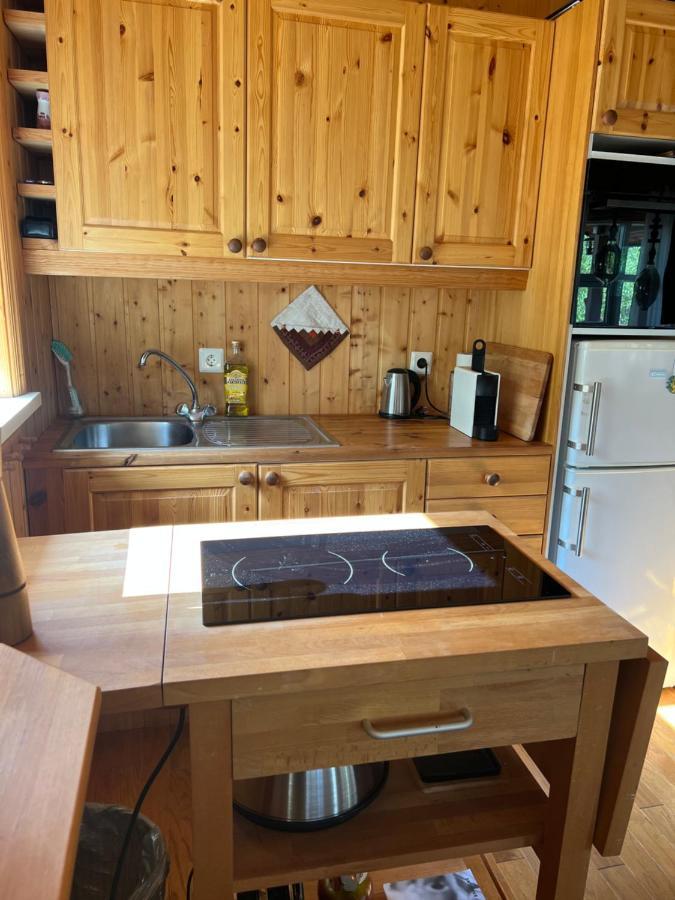 Summerhouse Vaglaskogur Akureyri Dış mekan fotoğraf