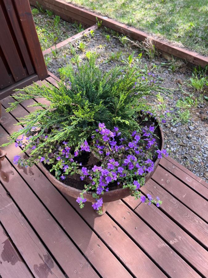 Summerhouse Vaglaskogur Akureyri Dış mekan fotoğraf
