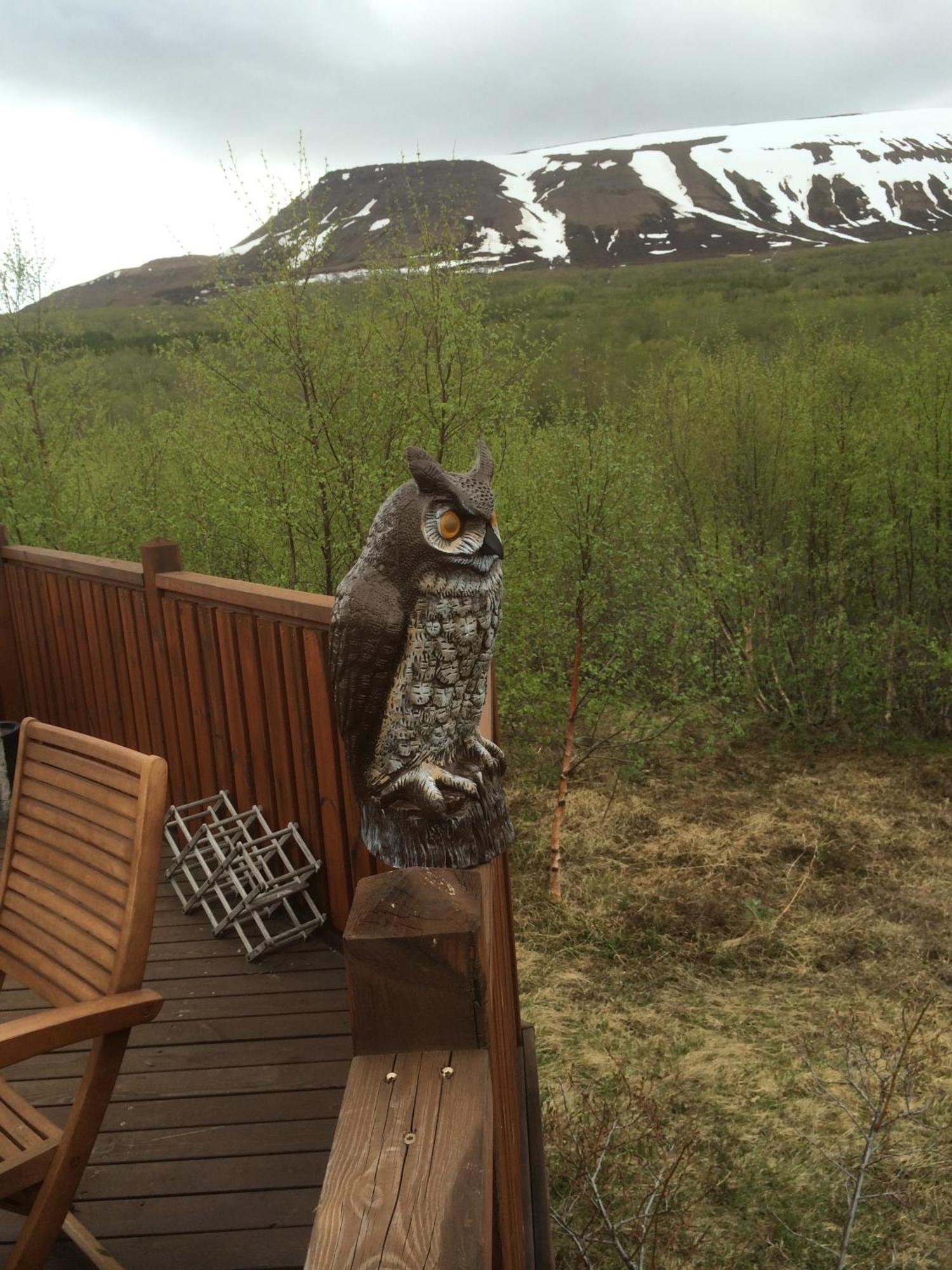 Summerhouse Vaglaskogur Akureyri Dış mekan fotoğraf